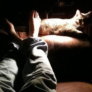 Meet your Posher, Andrew